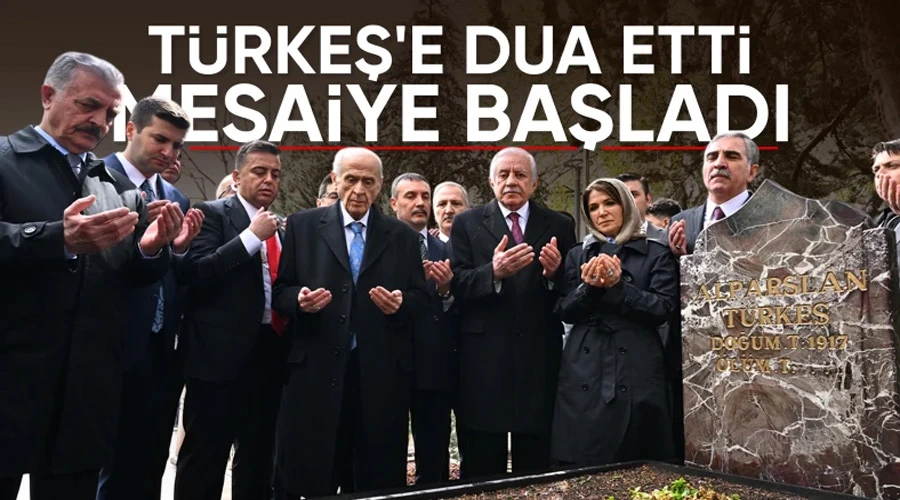 Devlet Bahçeli, Türkeş