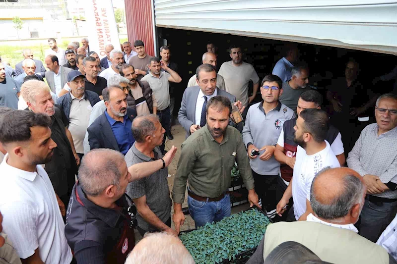 Bingöl’de üreticilere 442 bin sebze fidesi dağıtıldı
