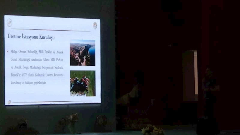 Kelaynak kuşlarının üretimi masaya yatırıldı
