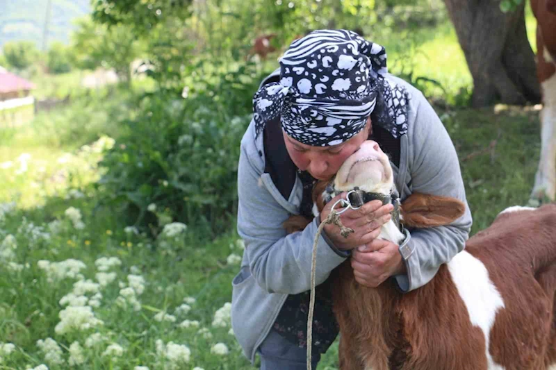 Gürcistanlı Nino, Erzincan çiftçiliğine renk katıyor
