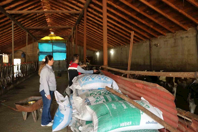 Erzincan’da kadın muhtar, hayvancılıkta örnek oluyor
