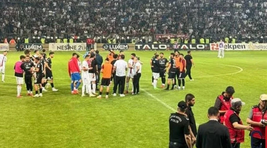 Vanspor