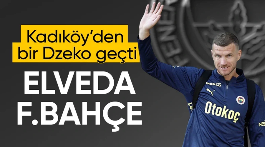 Edin Dzeko Fenerbahçe