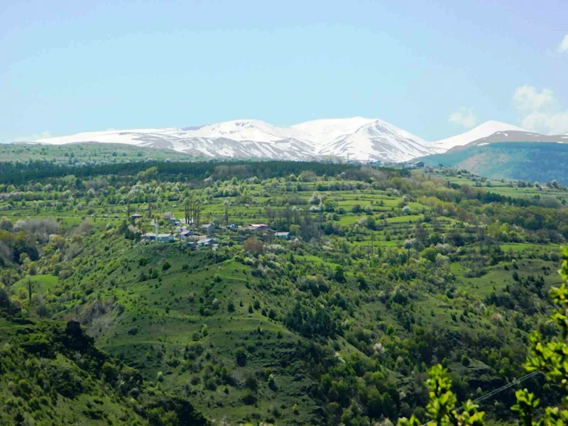 Posof’ta baharla gelen güzellikler
