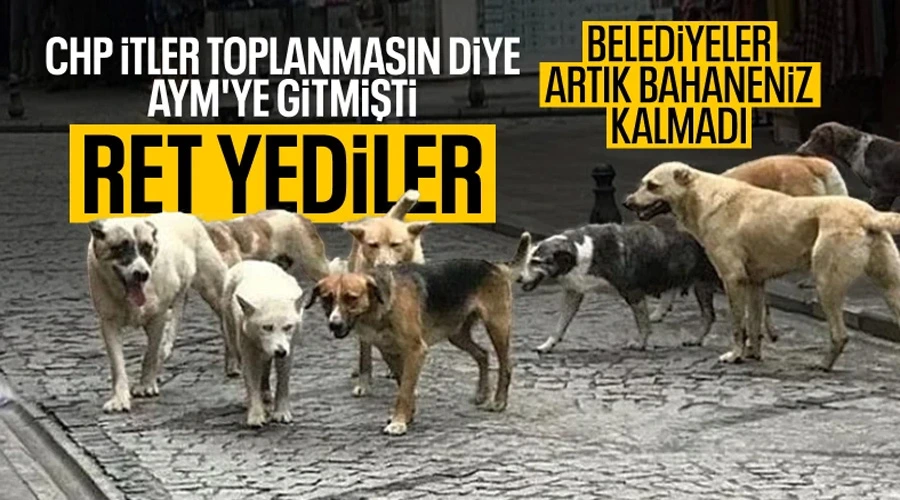 Sokak Hayvanları Kanunu AYM