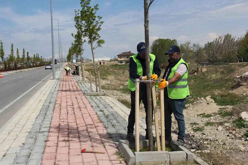 Van Büyükşehir Belediyesi