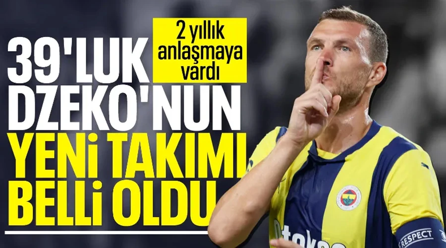 Edin Dzeko, Fiorentina