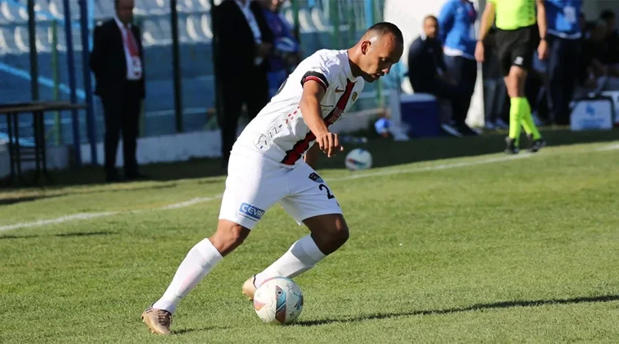 Vanspor