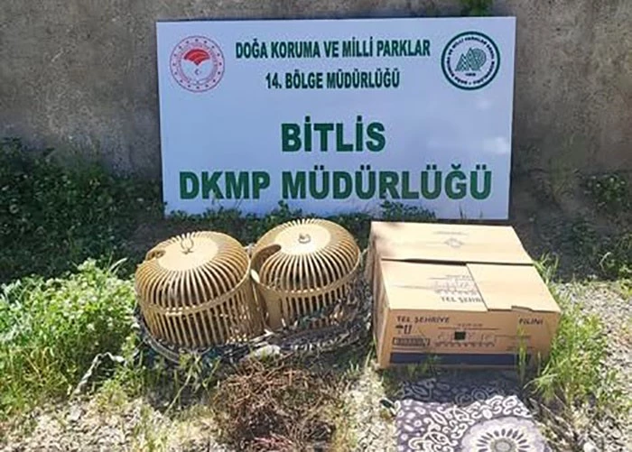 Bitlis’te kaçak keklik aylayan kişiye 63 bin TL idari para cezası uygulanacak
