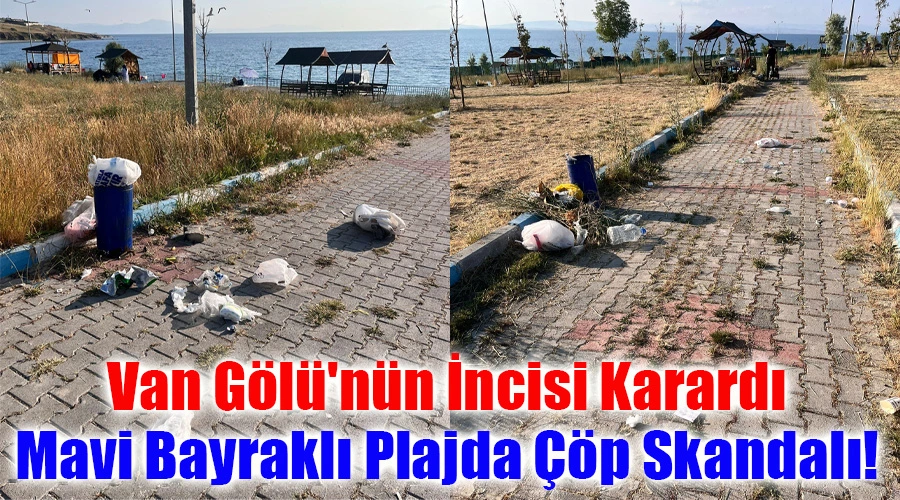 Van Gölü