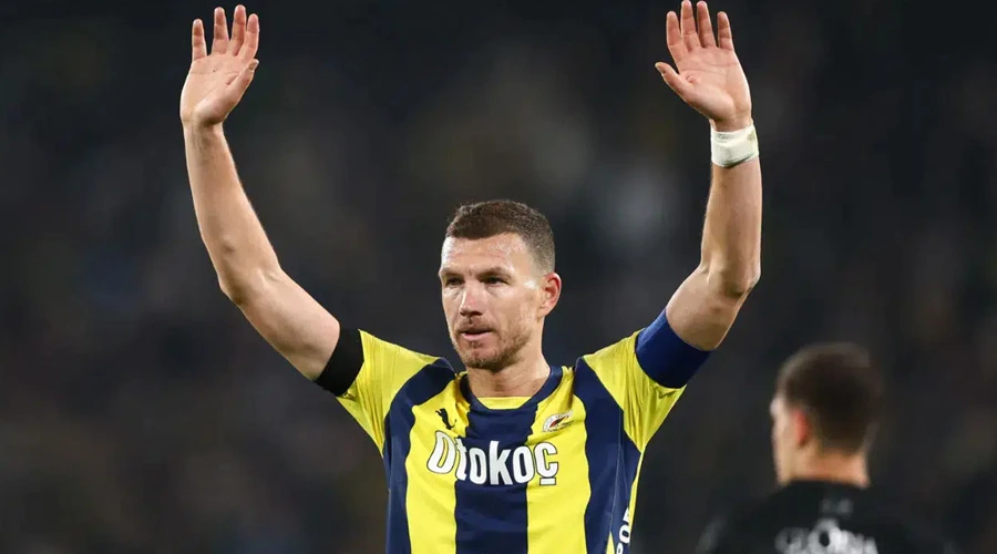 Edin Dzeko Fiorentina
