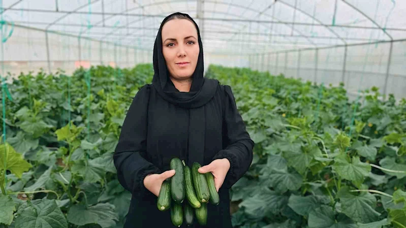 Irak’tan Yüksekova’ya uzanan başarı öyküsü
