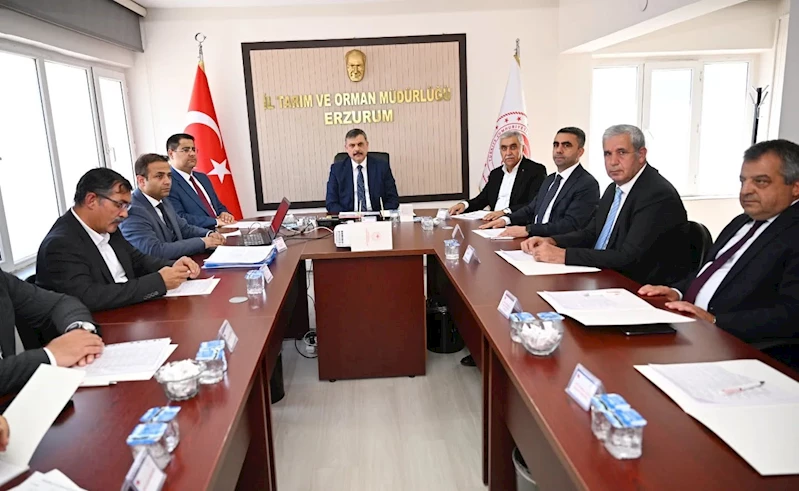 Erzurum’da toprak zirvesi
