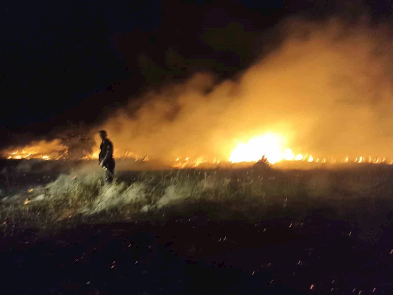 Akçadağ’da bahçe ve sazlık yangını: 25 Kayısı ağacı zarar gördü
