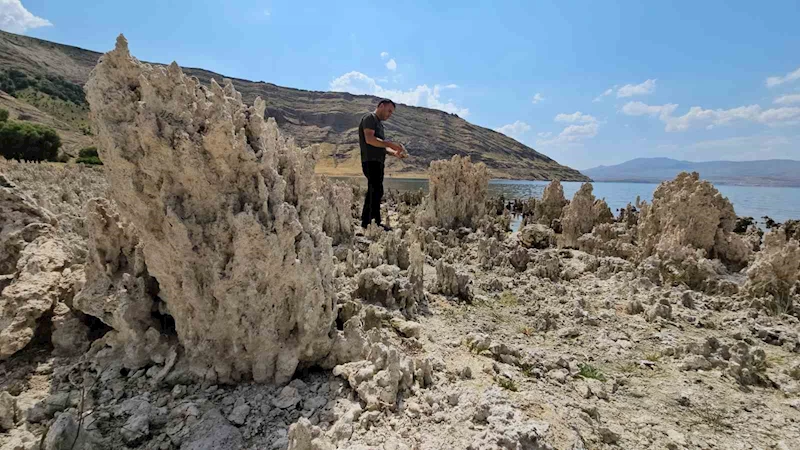 Van Gölü sahilleri mikrobiyalit tarlasına döndü
