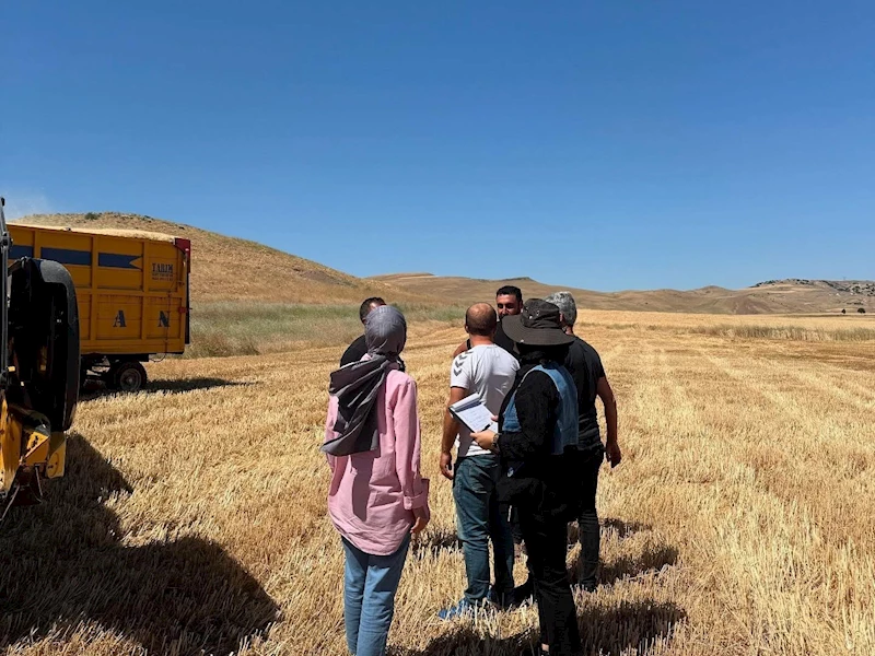 Elazığ’da hasat ve biçerdöver denetimleri sürüyor
