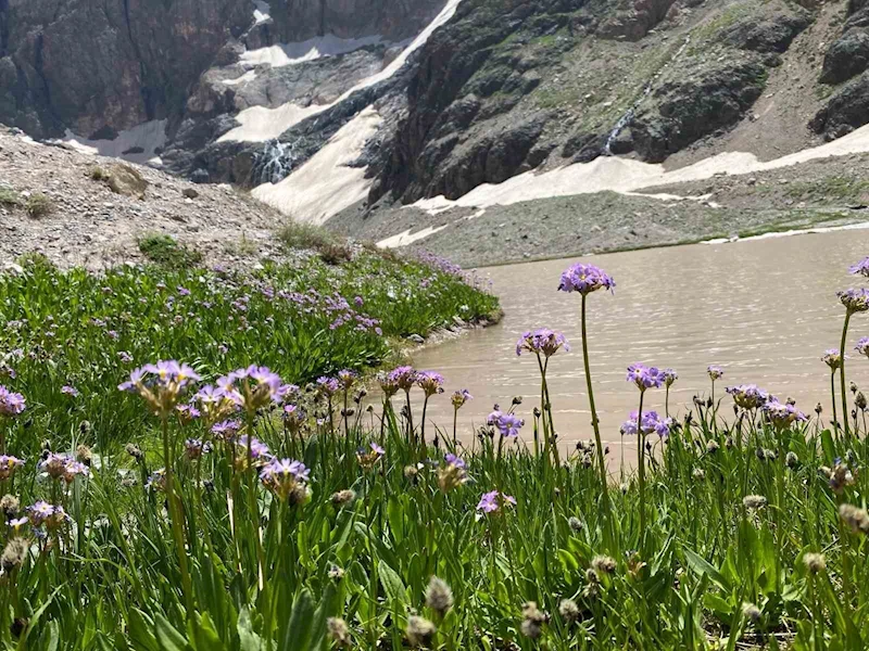 Cilo Dağı’nda buzullar hızla eriyor
