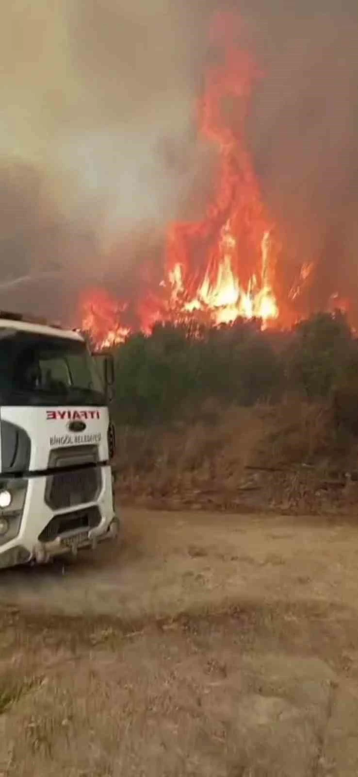 Bingöl’den Hatay’a destek
