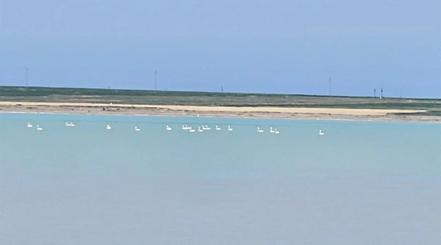 Arin Gölü
