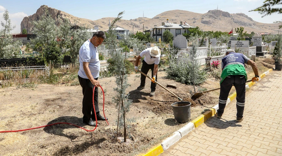 Van Mezarlıklarına Bahar Geldi: 600 Mavi Selvi Ağacıyla Yenileniyor