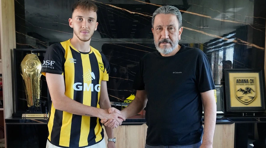 Vanspor
