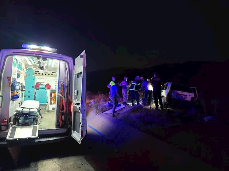 Bingöl’de otomobil ata çarptı: 2 yaralı
