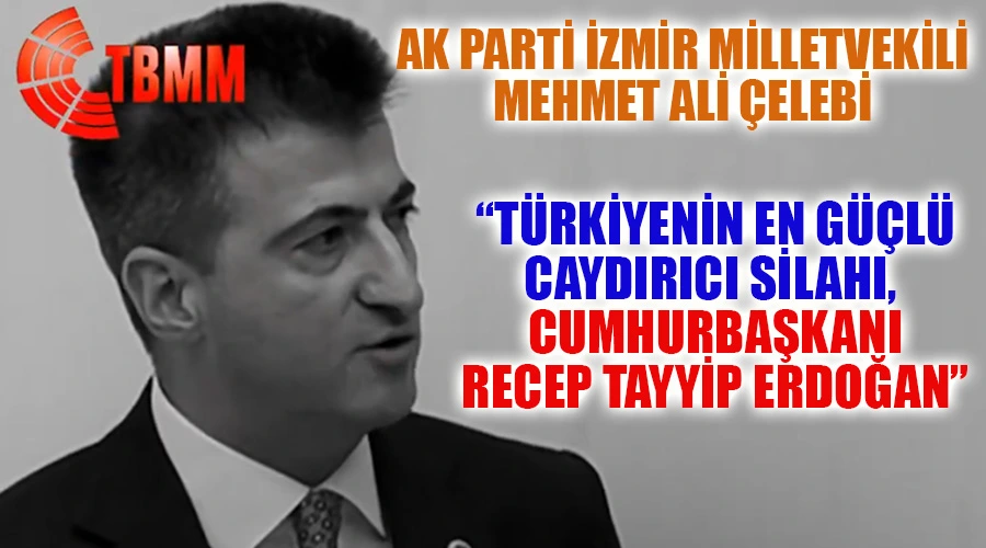 Milletvekili Çelebi, 