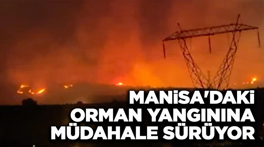 Manisa’daki orman yangınına müdahale sürüyor 