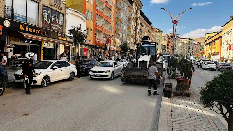 Hakkari’de 235 ağaç toprakla buluştu
