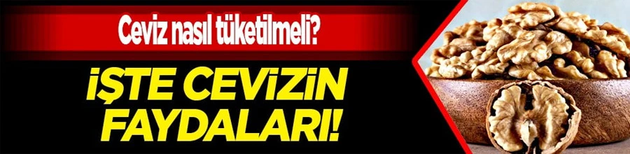 Cevizin Şifalı Gücü: Sağlığa Katkılarıyla Büyüleyen Kanser Düşmanı Mucize Meyve!