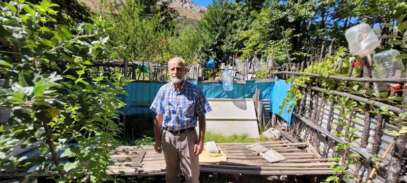 Ev ve bahçelere dadanan ayıları yetkililere şikâyet etti
