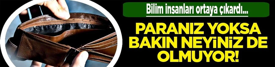 Cebinizdeki Stres, Zihninizi Karartıyor: Parasal Sıkıntılar Zekayı Düşürüyor!