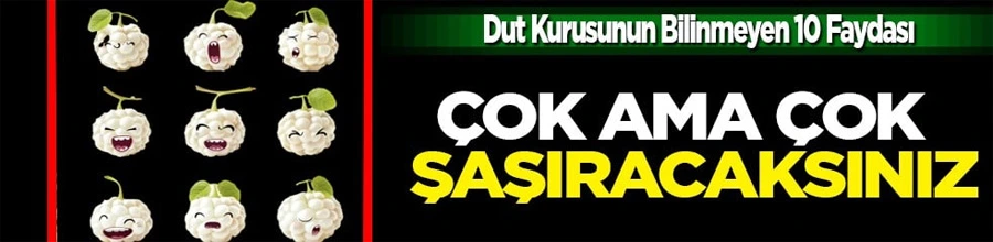 Dut Kurusu: Doğanın Şifalı Hediyeşi Yükselişte!