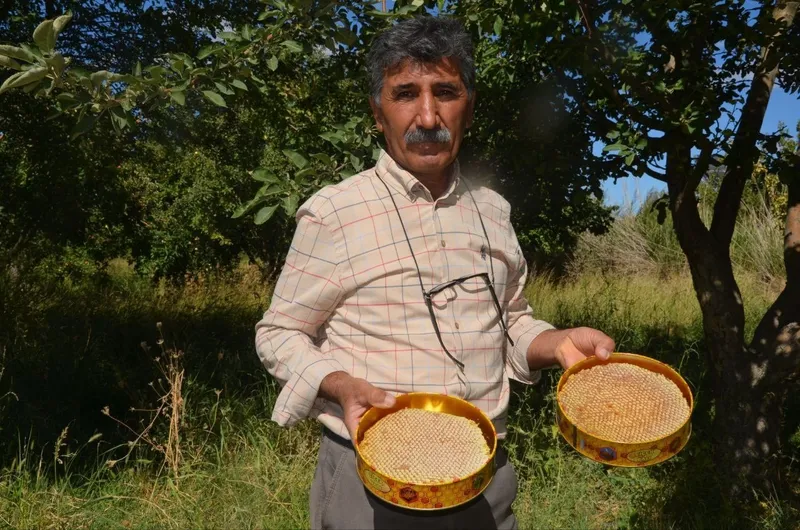 Malatya’da bal hasadı başladı
