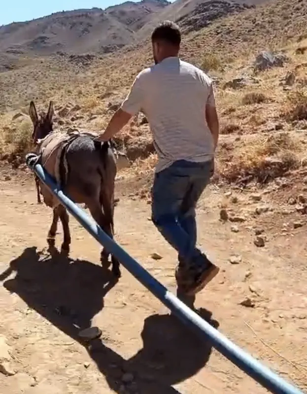 Yolalan’da eşeklerle su seferberliği
