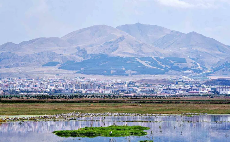 Erzurum’un 
