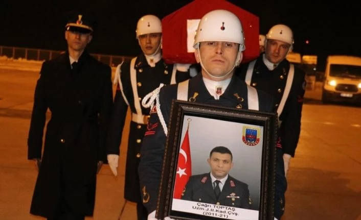 Ağrı