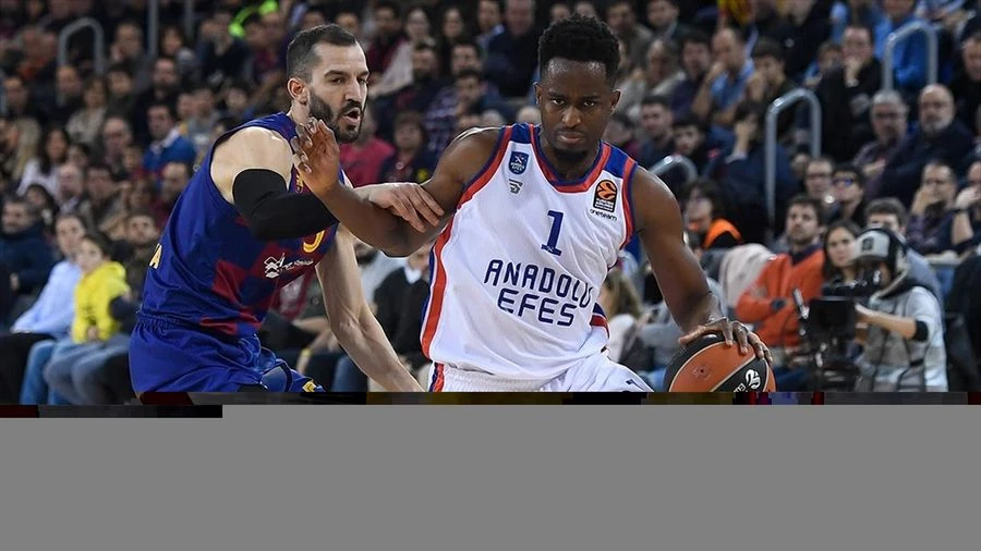 Anadolu Efes Avrupa