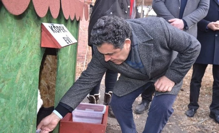 Ardahan’da artık sokak hayvanlarının da evi var