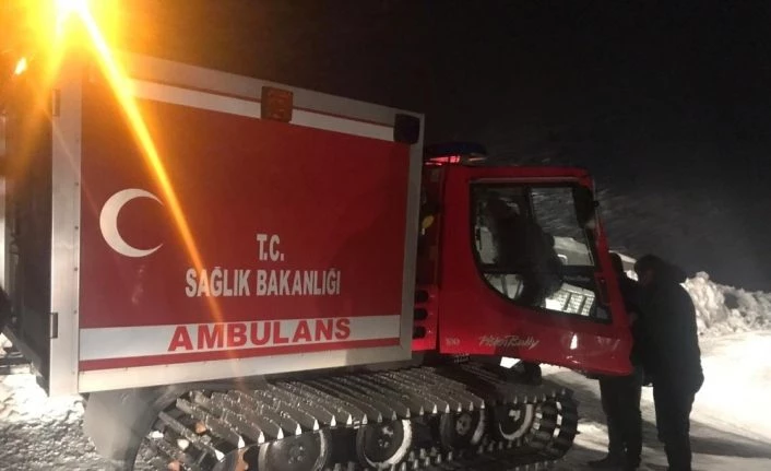 Ayılara yem vermeye giden ekip Nemrut Dağı’nda mahsur kaldı
