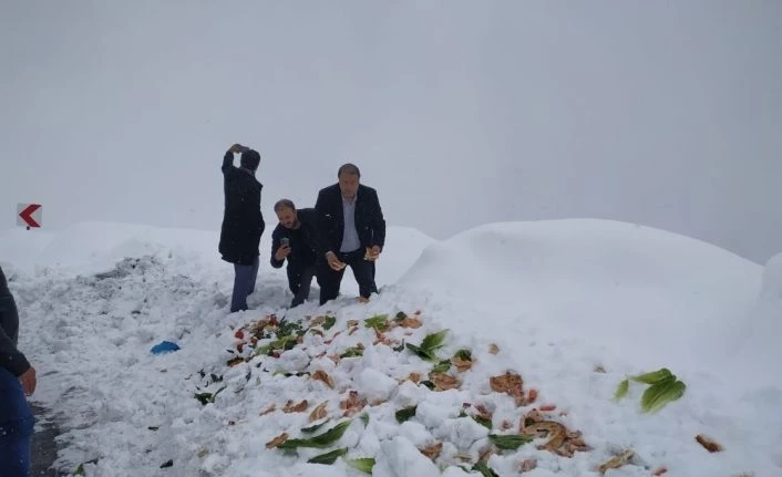 Bahçesaray’da yaban hayvanlara yem desteği