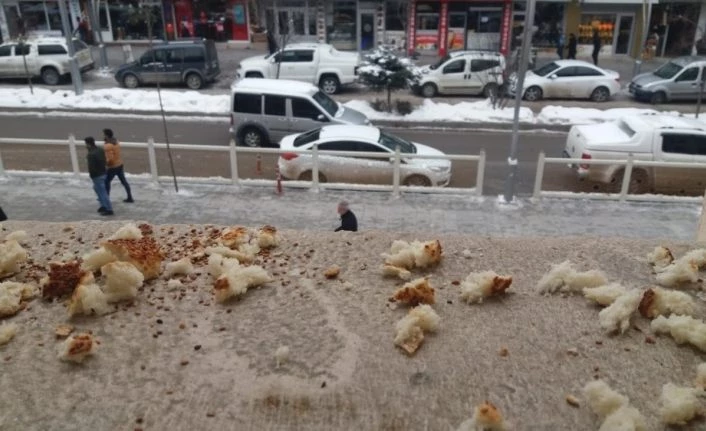 Belediye çalışanları kuşlar için yiyecek bıraktı