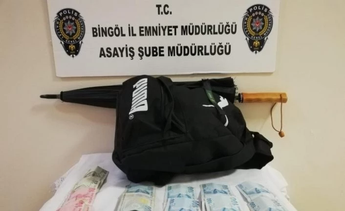 Bingöl’de hırsızlık operasyonları: 4 tutuklama