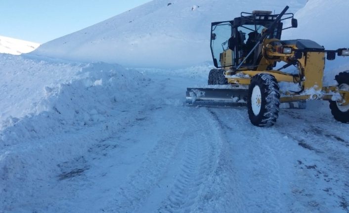 Bingöl’de kar 178 köy yolunu ulaşıma kapattı