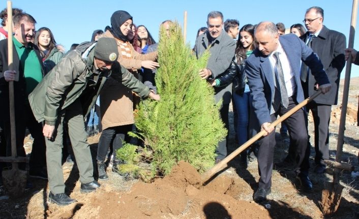 Elazığ’da Hayrettin Karaca anısına 200 fidan dikildi