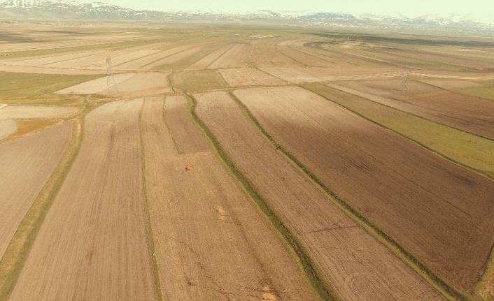 Erzurum, Ağrı ve Erzincan’da toplulaştırma çalışmaları devam ediyor