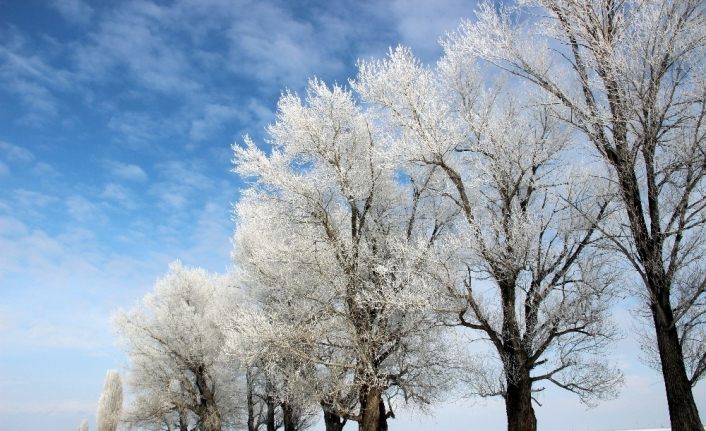 Erzurum’da kırağı sonrası görsel şölen