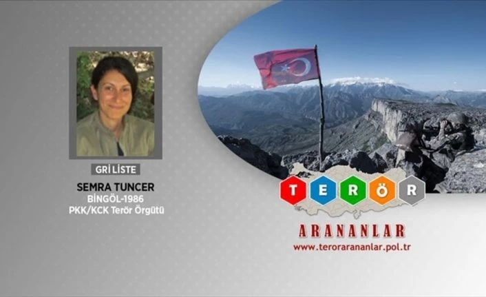 Gri kategorideki terörist PKK