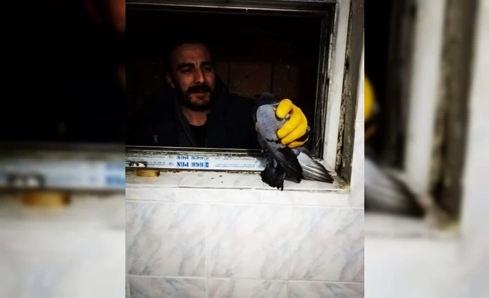 Havalandırma boşluğunda mahsur kalan güvercin itfaiye tarafından kurtarıldı