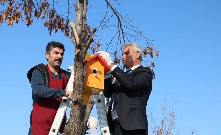 Muş’ta Osmanlı mimarisi ile kuş evleri